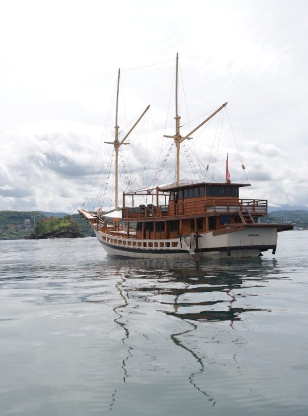 Private tour to komodo island
