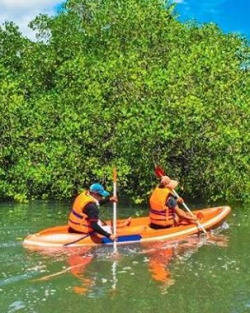 Kayaking  tour to komodo