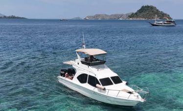 1 day fast boat tour to komodo island