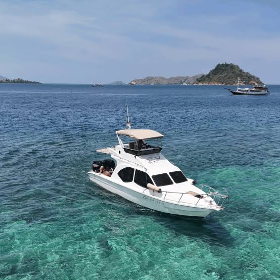 1 day fast boat tour to komodo island